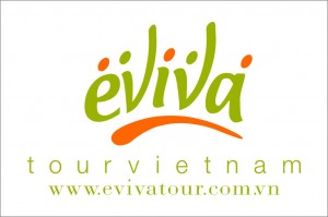 eviva-logo-color1