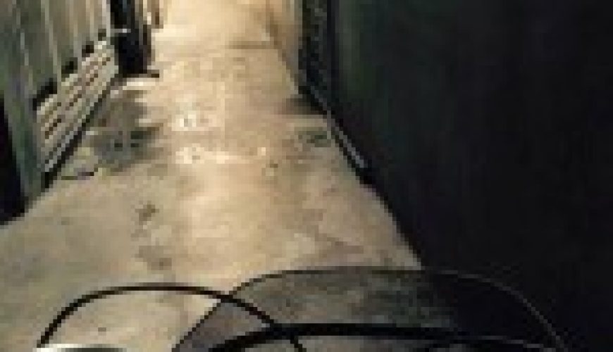 Thử thách &amp;amp;quot;I ride a bike today&amp;amp;quot;