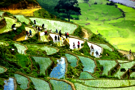 5 Days Northern Highlight