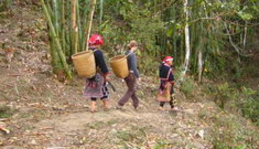 Sapa – Sapa CBT trek & homestay – 3D4N