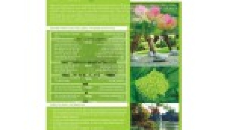 RTC together with TSG & AFEO organizes the Ha Noi Green Walk