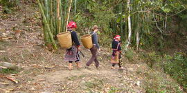 Sapa – Sapa CBT trek & homestay – 3D4N